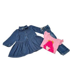 Baby Girl's Clothes - Dress, Jeans, and Long Sleeve‎ Shirt - Size 12-18 Month